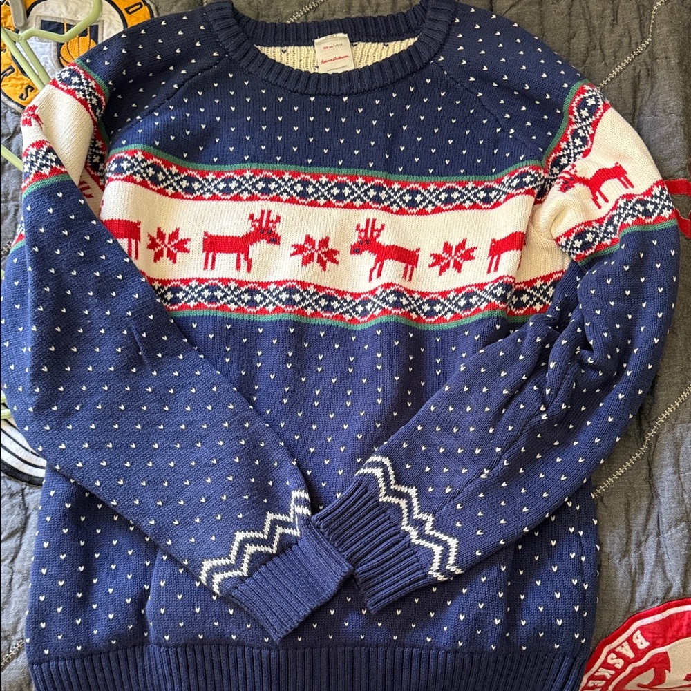 Hanna Andersson Navy and Red Reindeer Sweater

Christmas Holiday Sweater